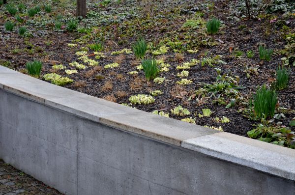 Concrete Wall Construction in Los Gatos
