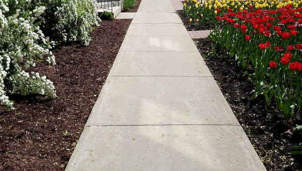 Cement Sidewalk Installation in Los Gatos
