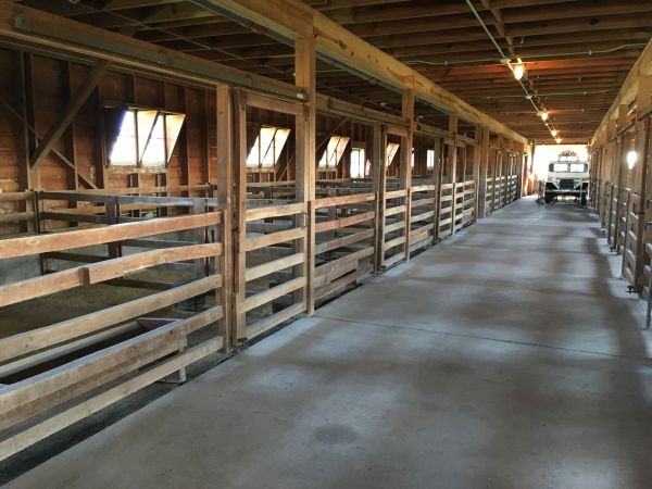 Barn Slab Construction in Los Gatos