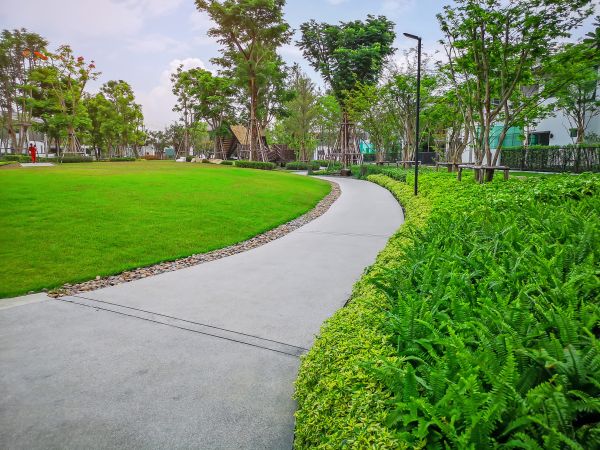 Cement Walkway Service in Los Gatos